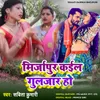 About Mirzapur Kaila Guljar Ho Song